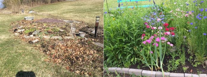 Jane Stewart's garden before and after. (Photos courtesy of City of Kawartha Lakes)