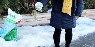 Rather than spreading salt around your property, consider more environmentally friendly alternatives like sand, non-clumping kitty litter, or even fireplace ashes. The GreenUP Store also carries Clean and Green Ice Melter by Swish, an ice-melter that's gentle on vegetation, concrete, water, and floors. It's not corrosive and is completely safe to handle with bare hands, so it's safer around children and pets too. It also more effective than salt when it's extremely cold, as it will continues to melt ice at -22° C. (Photo: Karen Halley)