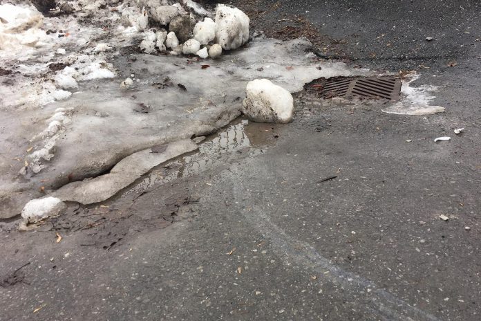 During the winter, salt accumulates on roads and in snow banks and is then washed into storm drains during thaws. The results can be damaging to our watershed. Responsible spreading of salt by homeowners can reduce the amount of salt washed into storm drains and into our waterways. (Photo: Leif Einarson)