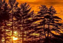 This photo by Mike Quigg @_evidence_ of a winter sunset over Beaver Bay on Kasshabog Lake was our top Instagram post in January 2022. (Photo: @_evidence_ / Instagram)