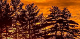 This photo by Mike Quigg @_evidence_ of a winter sunset over Beaver Bay on Kasshabog Lake was our top Instagram post in January 2022. (Photo: @_evidence_ / Instagram)