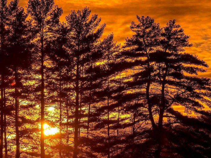 This photo by Mike Quigg @_evidence_ of a winter sunset over Beaver Bay on Kasshabog Lake was our top Instagram post in January 2022. (Photo: @_evidence_ / Instagram)