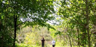 Since purchasing their 240-acres Oak Ridges Moraine property in Kawartha Lakes in 1986, Ralph McKim and Jean Garsonnin have worked to restore the ecological integrity of their land as much as possible while making it available for the enjoyment of others. In 2011, they entered into a conservation easement agreement with Kawartha Land Trust to protect the property in perpetuity, and recently donated 150 acres to the non-government charitable organization, including the Ballyduff Trails portion of the property. (Photo courtesy of Kawartha Land Trust)