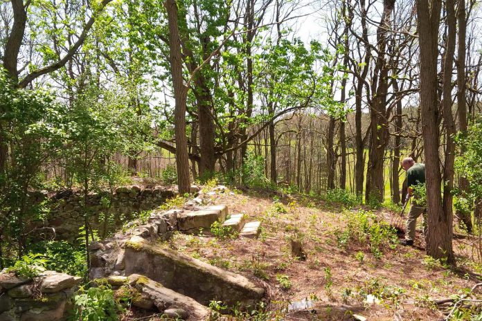 Originally settled in the mid-19th century by Europeans who cleared it for subsistence farming, the McKim-Garsonnin property still has the foundation of the old homestead located in a thick stand of black locusts and lilacs. (Photo courtesy of Kawartha Land Trust)