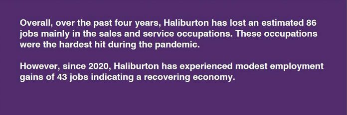 The Local Labour Market Planning Report 2021-22 provides detailed information about each community in the Workforce Development Board's catchment area, including Haliburton. (Graphic: WDB)