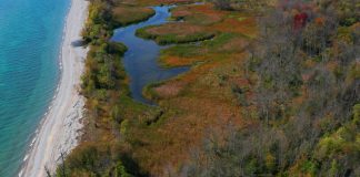 The Municipality of Port Hope will purchase 1,334 acres from Ontario Power Generation in the Wesleyville area in Port Hope for $18.6 million. The property includes 700 acres of environmentally important land, 600 acres that could potentially be developed, 260 acres of developed industrial land, and 18 acres along four kilometres of Lake Ontario shoreline. (Photo: Municipality of Port Hope)