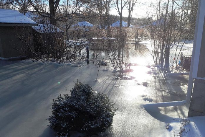 Flooded backyards in Peterborough's East City after a mid-winter melt. (Photo: Hayley Goodchild, CC-BY 2.0)
