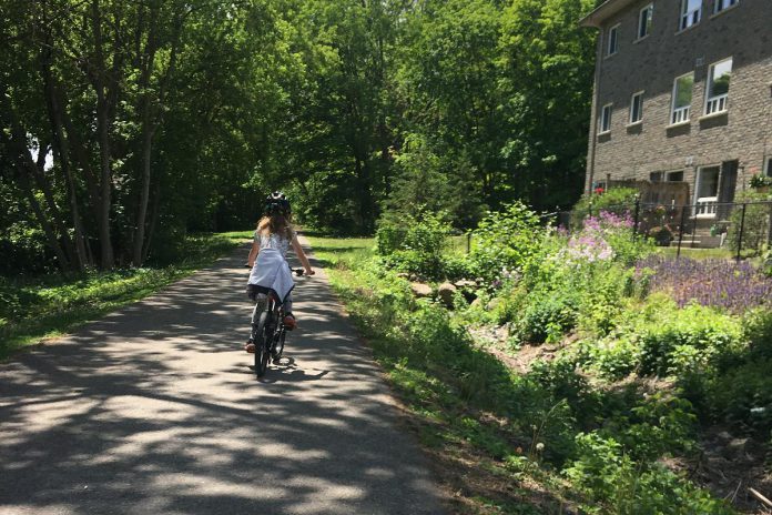 The psychological barrier of self-efficacy tells you it is pointless to save one tree from being cut down, or make one trip by bike instead of car. Other trees will still be cut down. Other people will still drive. Overcome this barrier by taking responsibility for your own actions, something no one but you can do. (Photo: Leif Einarson)