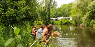 A group of participants in GreenUP's 2021 Girl's Climate Leadership Program study the habitat of Meade Creek with the leadership of Jenn McCallum, environmental education technician with Lower Trent Conservation. Education about our natural environment can empower us to protect our natural world. (Photo: Genevieve Ramage)