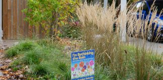 A narrow rain garden, which takes in water from a nearby roof, installed with help from the Rain Garden Subsidy program offered by the City of Peterborough with support from GreenUP. In 2022, the city has increased the subsidy from a maximum of $500 to a maximum of $1,000 per garden, to cover a greater proportion of the costs associated with designing and installing a rain garden. (Photo: Hayley Goodchild)