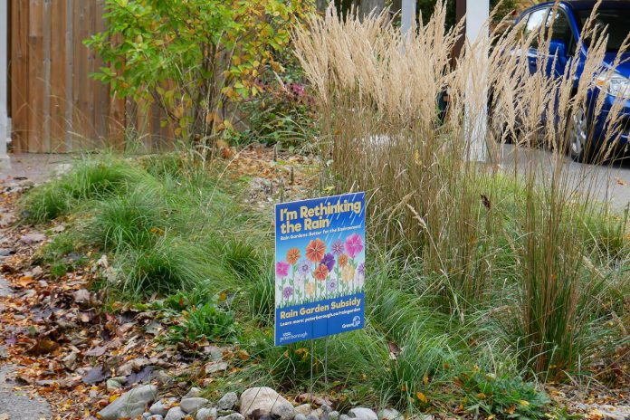 A narrow rain garden, which takes in water from a nearby roof, installed with help from the Rain Garden Subsidy program offered by the City of Peterborough with support from GreenUP. In 2022, the city has increased the subsidy from a maximum of $500 to a maximum of $1,000 per garden, to cover a greater proportion of the costs associated with designing and installing a rain garden. (Photo: Hayley Goodchild)
