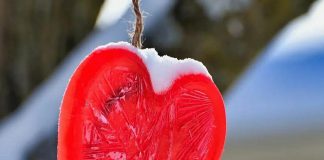 A series of nine Valentine's Day themed photos by eight local photographers, including this feature photo by Brian Parypa, was our top Instagram post in February 2022. (Photo: Brian Parypa @bparypa73 / Instagram)