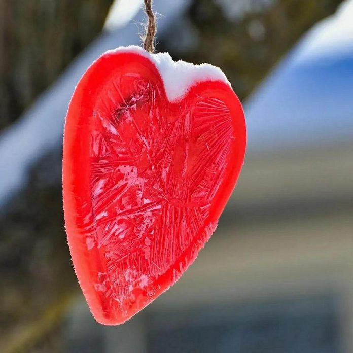 A series of nine Valentine's Day themed photos by eight local photographers, including this feature photo by Brian Parypa, was our top Instagram post in February 2022. (Photo: Brian Parypa @bparypa73 / Instagram)