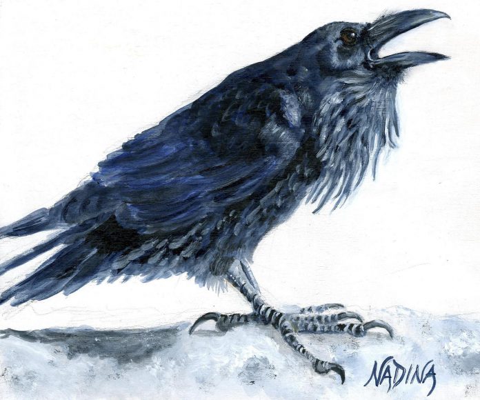 At her March 12 performance with the Peterborough Symphony Orchestra, bassoonist Nadina Mackie Jackson will perform "Odd Bird Concerto" by Mathieu Lussier. The concerto's title also reflects the soloist’s second career as a visual artist, which often deals with avian themes, such as this work entitled "Winter Raven".  (Photo: Nadina Mackie Jackson)