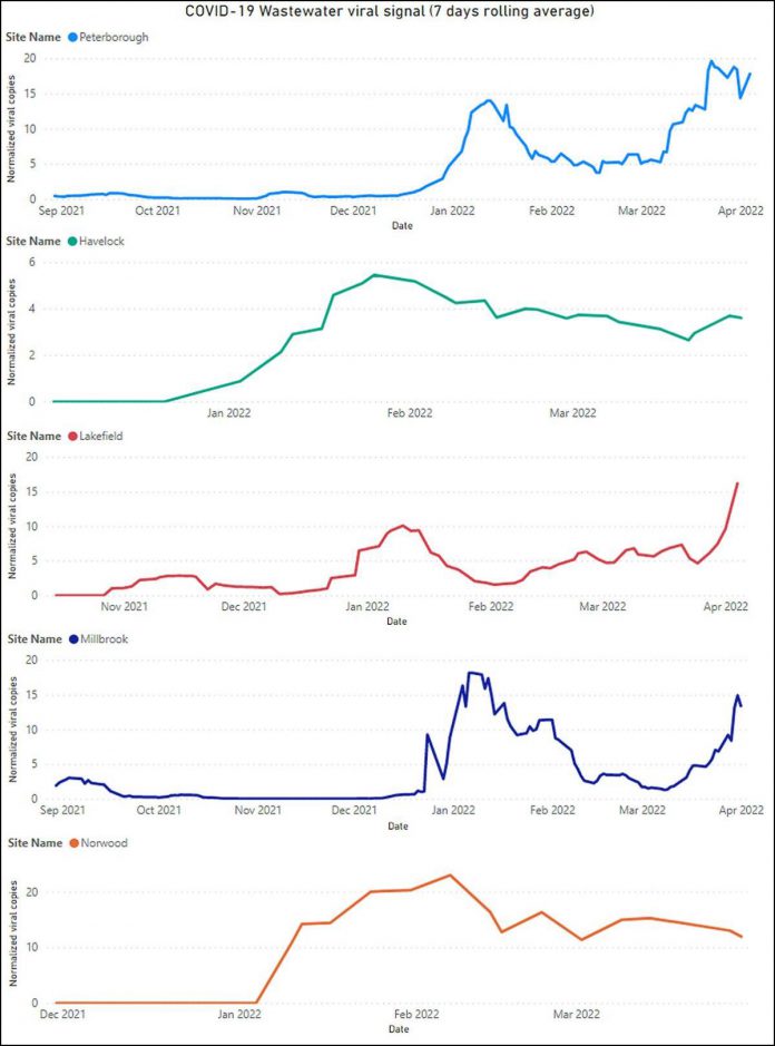 Peterborough area wastewater surveillance data for April 4, 2022. (kawarthaNOW composite of Peterborough Public Health graphics)