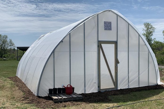 The Mitigomin Native Plant Nursery's main mission is to supply plants to assist Alderville Black Oak Savanna's work in restoring the tallgrass prairie and oak savanna ecosystems in the Rice Lake Plains region. (Photo courtesy of Mitigomin Native Plant Nursery)