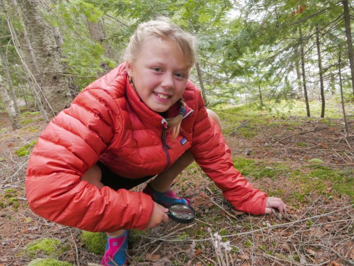 A Young Tripper looks up from her magnifying glass as she examines a small Ghost Pipe plant in the Kawartha Highlands. Despite their appearance, these plants aren't actually mushrooms.  They're a relative of blueberries that don't produce chlorophyll; instead, they siphon nutrients from nearby tree roots through a network of underground fungi.  (Photo courtesy of The Land Canadian Adventures)