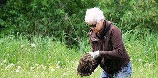 Marnie Callaghan is one of the volunteers with the Kawartha Trans Canada Trail Associatiom recognized with an Environmental Hero from the City of Kawarthas Lakes for their work in 2021 to create a pollinator garden at Reaboro Park in Reaboro, between Omemee and Lindsay. (Photo: Elayne Windsor)