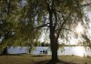 A couple enjoys the view of Little Lake under the tree canopy at Beavermead Park in Peterborough. (Photo: City of Peterborough)