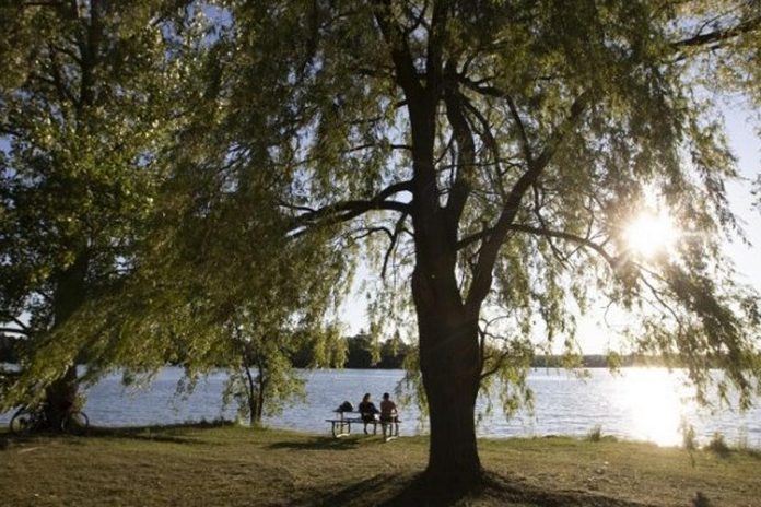 A couple enjoys the view of Little Lake under the tree canopy at Beavermead Park in Peterborough. (Photo: City of Peterborough)