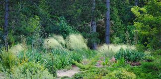 Anna’s Perennials Nursery & Gardens, located in Kawartha Lakes between Lindsay and Bobcaygeon, is one of the 10 gardening businesses featured on this year's Peterborough and Area Garden Route. Anna’s Perennials specializes in perennials, and welcomes visitors to walk through their gardens several times a season, as there is always something new in bloom. (Photo courtesy of Anna's Perennials)