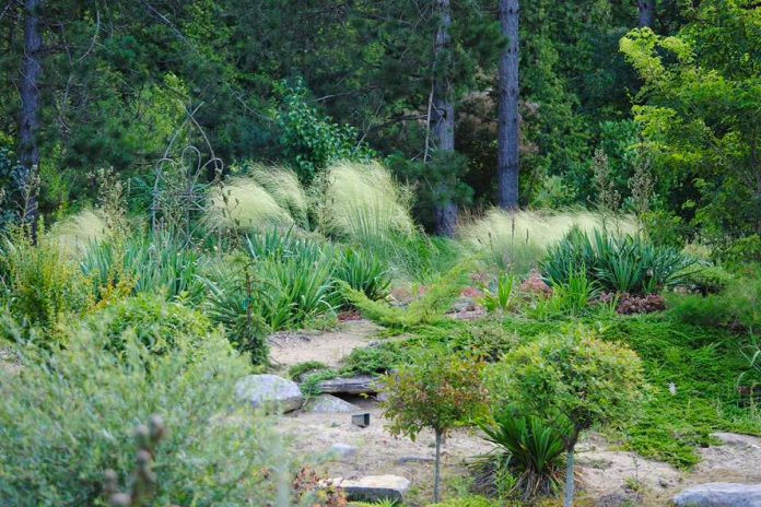 Anna’s Perennials Nursery & Gardens, located in Kawartha Lakes between Lindsay and Bobcaygeon, is one of the 10 gardening businesses featured on this year's Peterborough and Area Garden Route. Anna’s Perennials specializes in perennials, and welcomes visitors to walk through their gardens several times a season, as there is always something new in bloom. (Photo courtesy of Anna's Perennials)