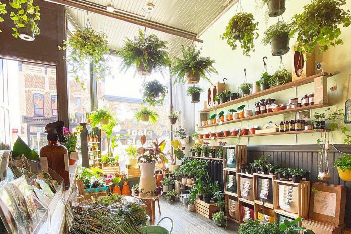 A new addition to the Peterborough and Area Garden Route this year is Plant Goals, a young and trendy shop specializing in indoor plants on Water Street in downtown Peterborough.  (Photo courtesy of Plant Goals)