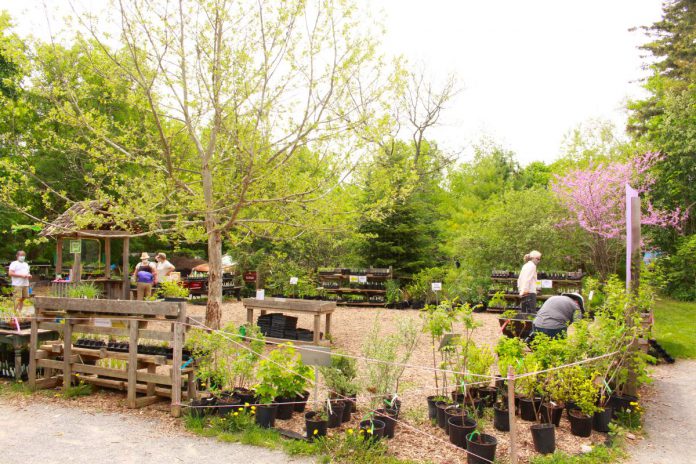 Landowners can keep their local "neighbourghwoods" green and vibrant by adding appropriate native trees, shrubs, and wildflowers to their properties. (Photo: Leif Einarson)