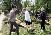 Ontario NDP leader Andrea Horwath (right) speaks with Peterborough mayor Diane Therrien and Peterborough-Kawartha NDP candidate Jen Deck as they survey some of the trees damaged at the Lions Centre in Peterborough's East City on May 25, 2022. (Photo: Jeannine Taylor / kawarthaNOW)