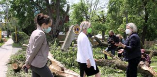 Ontario NDP leader Andrea Horwath (right) speaks with Peterborough mayor Diane Therrien and Peterborough-Kawartha NDP candidate Jen Deck as they survey some of the trees damaged at the Lions Centre in Peterborough's East City on May 25, 2022. (Photo: Jeannine Taylor / kawarthaNOW)