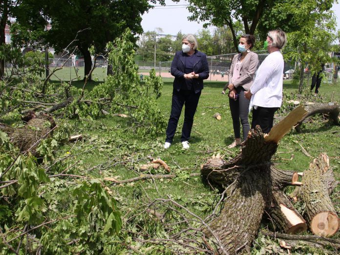 Ontario NDP leader Andrea Horwath (left) speaks with Peterborough mayor Diane Therrien and Peterborough-Kawartha NDP candidate Jen Deck as they survey some of the trees damaged at the Lions Centre in Peterborough's East City on May 25, 2022. (Photo: Jeannine Taylor / kawarthaNOW)