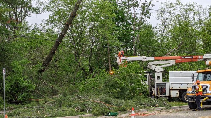 Hydro One crews remove trees from power lines on Ashburnham Road across from Marsdale Plaza in Peterborough on May 22, 2022, the day after a severe storm ripped through southern Ontario and Quebec. (Photo: Bruce Head / kawarthaNOW)