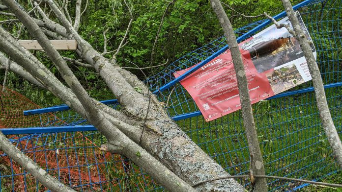 The temporary fence surrounding the construction site of the new Canadian Canoe Museum near Beavermead Park was taken down by a tree during the severe storm that ripped through southern Ontario and Quebec on May 21, 2022. (Photo: Bruce Head / kawarthaNOW)