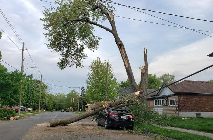A car on Lock Street in the south end of Peterborough was crushed by falling tree branches during the severe storm that ripped through southern Ontario and Quebec on May 21, 2022. (Photo: Jeannine Taylor / kawarthaNOW)