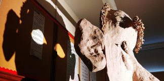 A giant mask of English author and poet Edward Lear, casting its shadow on a wall at King George Public School in Peterborough's East City, is part of "The Lear Project" created and performed by actor-puppeteer Brad Brackenridge and dance-theatre artist Dreda Blow. The four-chapter ode to Lear's nonsense poems will be performed at Public Energy's Erring at King George" multi-arts festival from May 6 to 8 and May 13 to 15, 2022. (Photo courtesy of Brad Brackenridge)