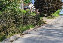 Branches and brush on a residential boulevard in Peterborough's East City 10 days after the wind storm of May 21, 2022. (Photo: Bruce Head / kawarthaNOW)