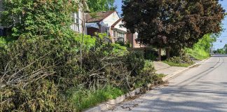Branches and brush on a residential boulevard in Peterborough's East City 10 days after the wind storm of May 21, 2022. (Photo: Bruce Head / kawarthaNOW)