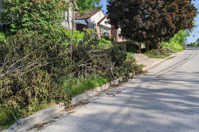 Branches and brush on a residential boulevard in Peterborough's East City 10 days after the wind storm of May 21, 2022. (Photo: Bruce Head / kawarthaNOW)