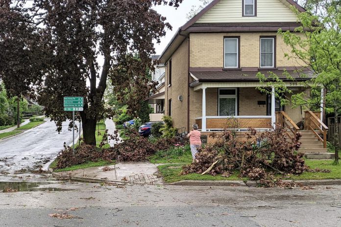 A resident in Peterborough's East City cleans up fallen branches and brush after the severe storm on May 21, 2022. (Photo: Bruce Head / kawarthaNOW)