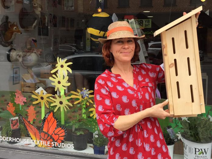 Pollinator advocate and Monarch Ultra co-founder Carlotta James displays a butterfly house in front of the window display at Watson & Lou in downtown Peterborough. It's part of a pollinator-inspired grand prize valued at $250. (Photo courtesy of Monarch Ultra)