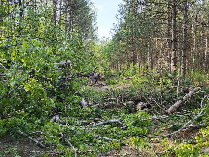 Some of the damage in the Ganaraska Forest caused by the May 21, 2022 derecho storm. The Ganaraska Region Conservation Authority (GRCA) expects it will be weeks before the forest will reopen for public use. (Photo: GRCA)