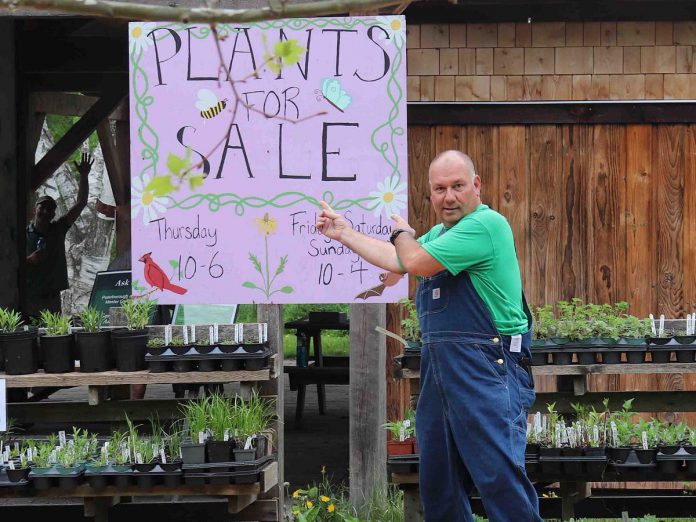 Environmental organization Peterborough GreenUP is celebrating its 30th anniversary in 2022. Pictured is Vern Bastable, director of GreenUP Ecology Park and landscape programs, at the Native Plant and Tree Nursery, which is one way GreenUP helps fund its programming. (Photo: Jess Todd / GreenUP)