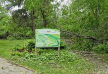 Some of the damage at the entrance to Ecology Park in Peterborough caused by the May 21, 2022 wind storm symbolizes the opportunity for healing during the month of June, which is National Indigenous History Month. (Photo: Bruce Head / kawarthaNOW)