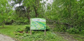 Some of the damage at the entrance to Ecology Park in Peterborough caused by the May 21, 2022 wind storm symbolizes the opportunity for healing during the month of June, which is National Indigenous History Month. (Photo: Bruce Head / kawarthaNOW)
