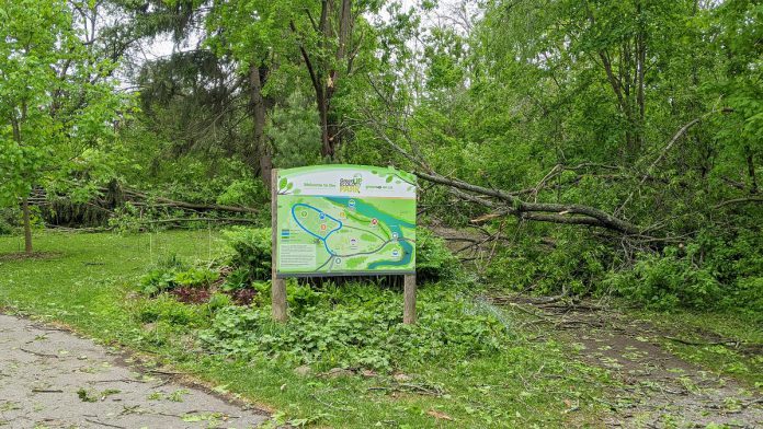 Some of the damage at the entrance to Ecology Park in Peterborough caused by the May 21, 2022 wind storm symbolizes the opportunity for healing during the month of June, which is National Indigenous History Month. (Photo: Bruce Head / kawarthaNOW)