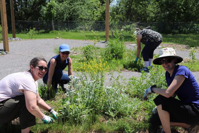 Participants enjoy a Water Wise Gardening Workshop delivered by GreenUP at the new Therapy Garden in the back yard at Five Counties Children's Centre. The Therapy Garden was designed and installed by GreenUP. (Photo: Jessica Todd) 