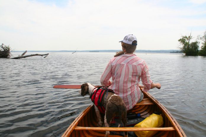 Taylor Wilkes with Blitz the dog paddle out of the Otonabee River delta into Rice Lake in the summer of 2021. For Wilkes, the journey was an opportunity to reflect on colonial privilege while using an Indigenous mode of transportation. (Photo: Jenn McCallum)
