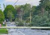 Downed power lines from the May 21, 2022 derecho storm. (Photo: Hydro One)