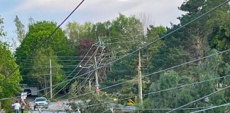 Downed power lines from the May 21, 2022 derecho storm. (Photo: Hydro One)
