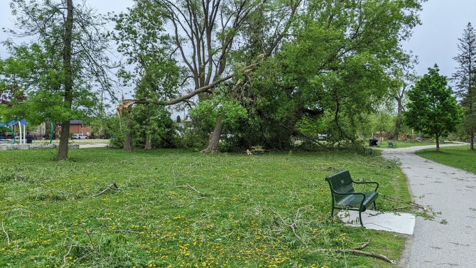 Some of the trees beside the splash pad at Roger's Cove in Peterborough's East City that were damaged by the May 21st wind storm. The splash pad is closed until the city can remove damaged trees. (Photo: Bruce Head / kawarthaNOW)